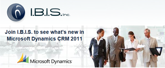 CRM 2011 Launch Form Banner